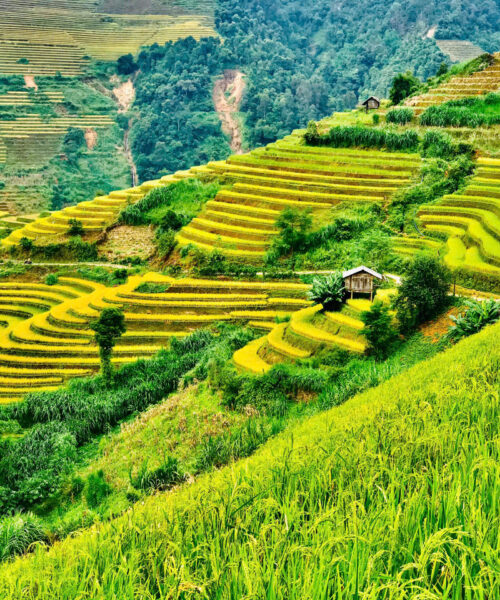 Experience 7 Days of Visual Wonders on Mu Cang Chai Photo Tour