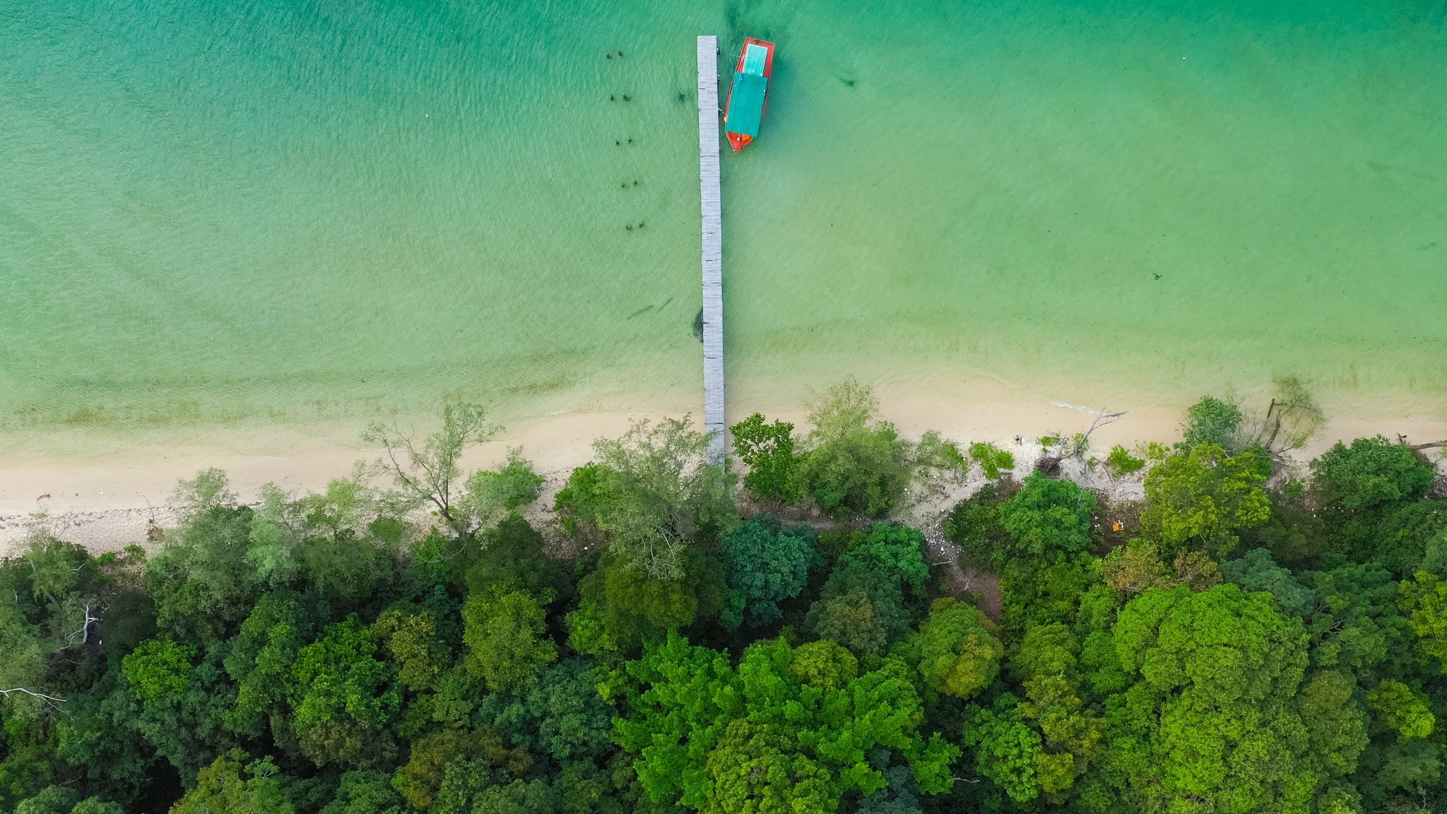 rach vem ham rong 10